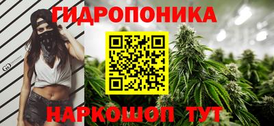 гашишное масло Можга