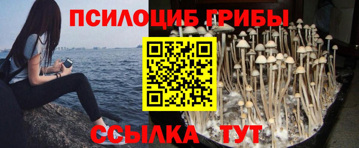 Галлюциногенные грибы Magic Shrooms Сургут
